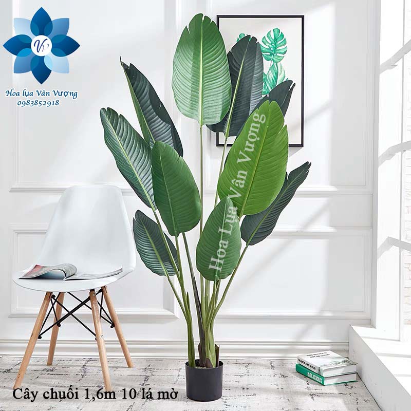 Cây Giả 🌺 Cây Chuối Cảnh Lá Mờ