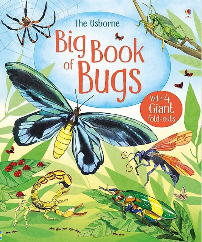 Sách-Anh:  Usborne Big Book of Bugs