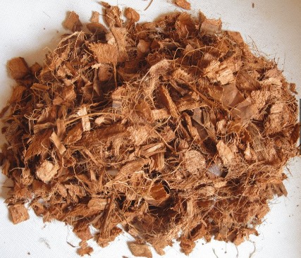 GIÁ THỂ VỎ DỪA KHÔ TRỒNG LAN (200G)