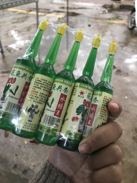 Bộ 5 Lọ Dung Dịch Thuỷ Canh Cho Cây Cảnh