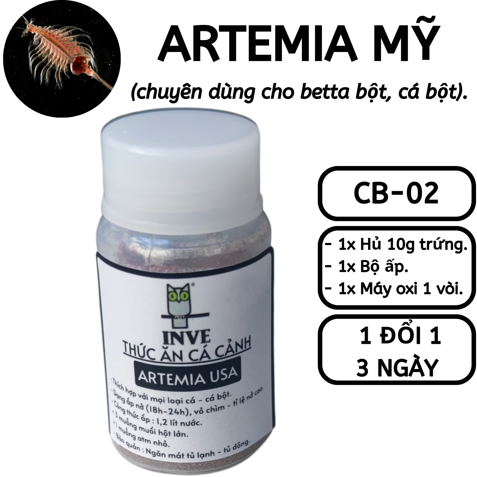 Combo 2: 10g American Artemia egg + hatching kit + oxygen cartridge 1 nozzle-betta fish food flour, fish flour | Hingaostore.