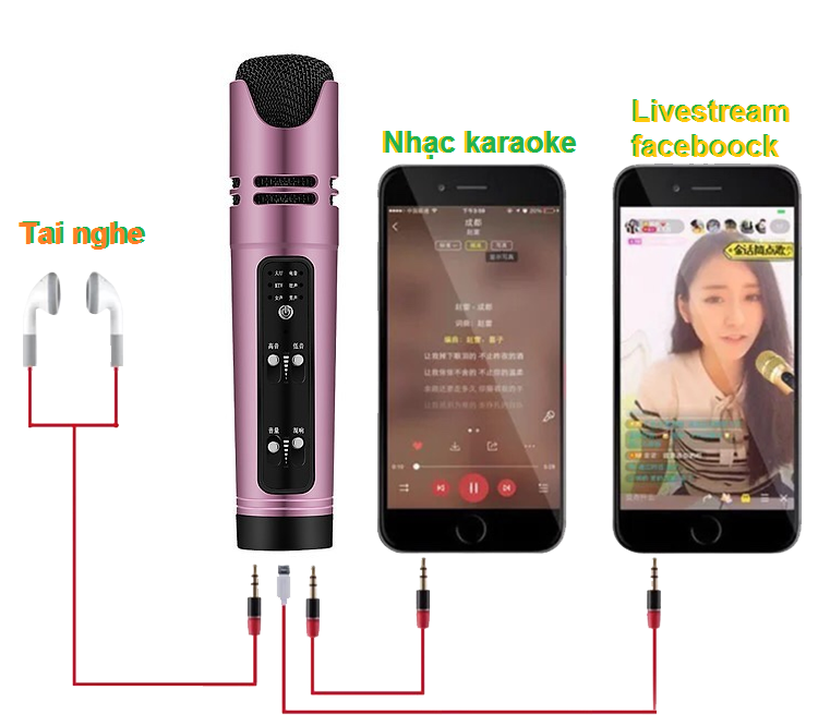 Micro thu âm Livestream C16