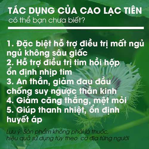 Trà Thảo Mộc Dây Thìa Canh Hộp 15 gói