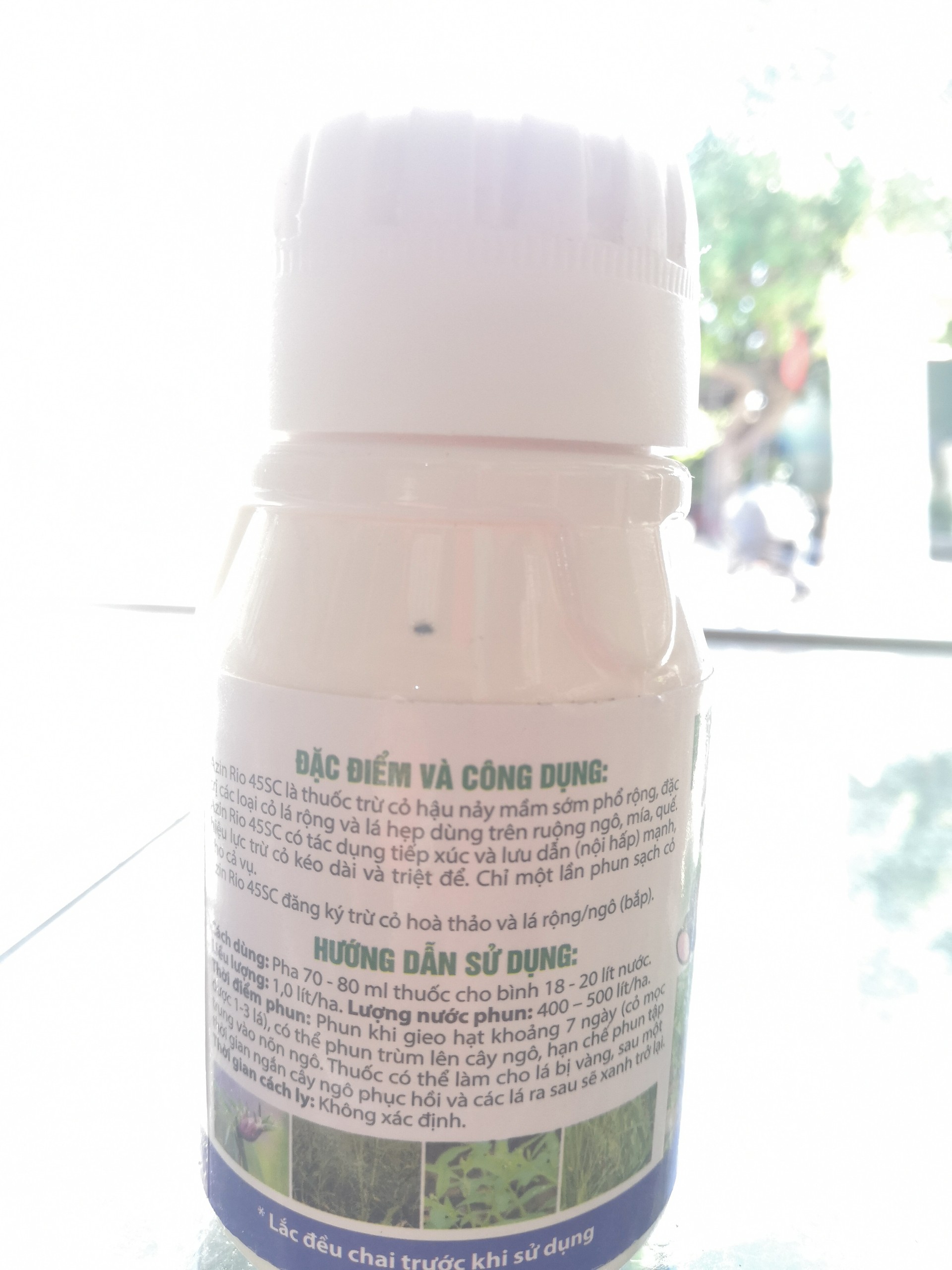 Diệt sạch cỏ cho cây Ngô, cây mía, cấy quế