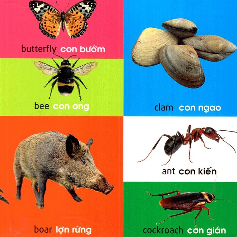 Sách: 101 First Words - Animals /101 Từ Đầu Tiên - Động Vật (TB)
