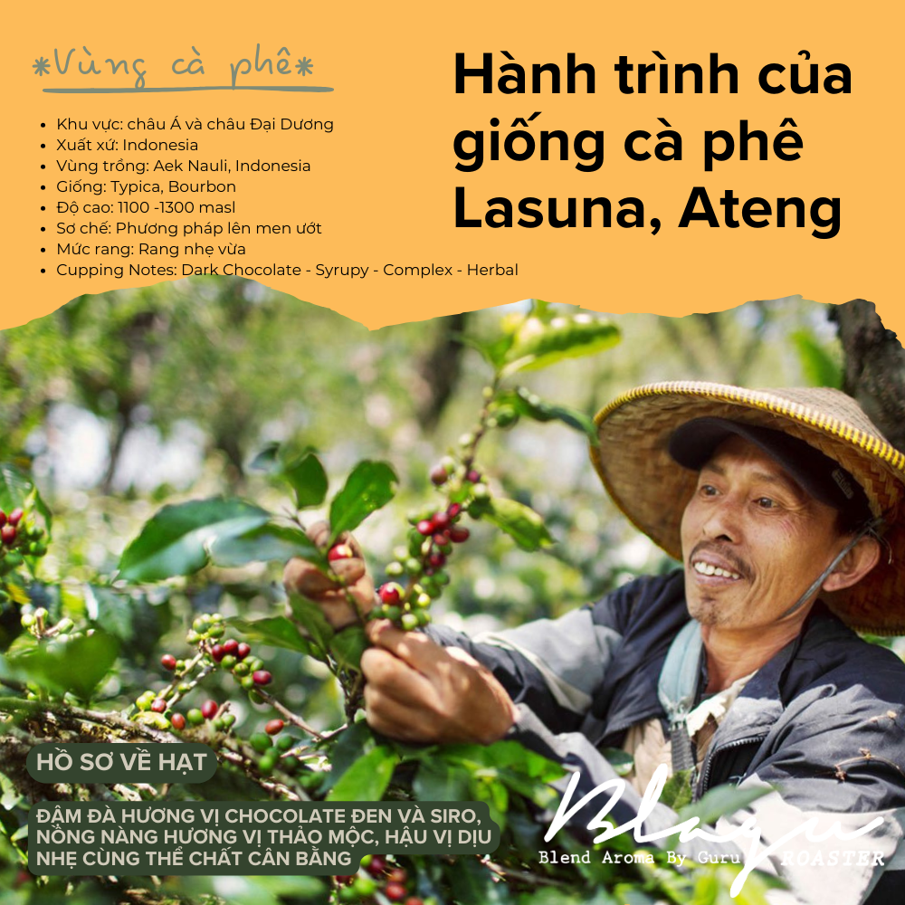 [HCM]CÀ PHÊ BLAGU ĐÃ HẠT RANG INDONESIA SUMATRA MEDIUM ROAST 100G