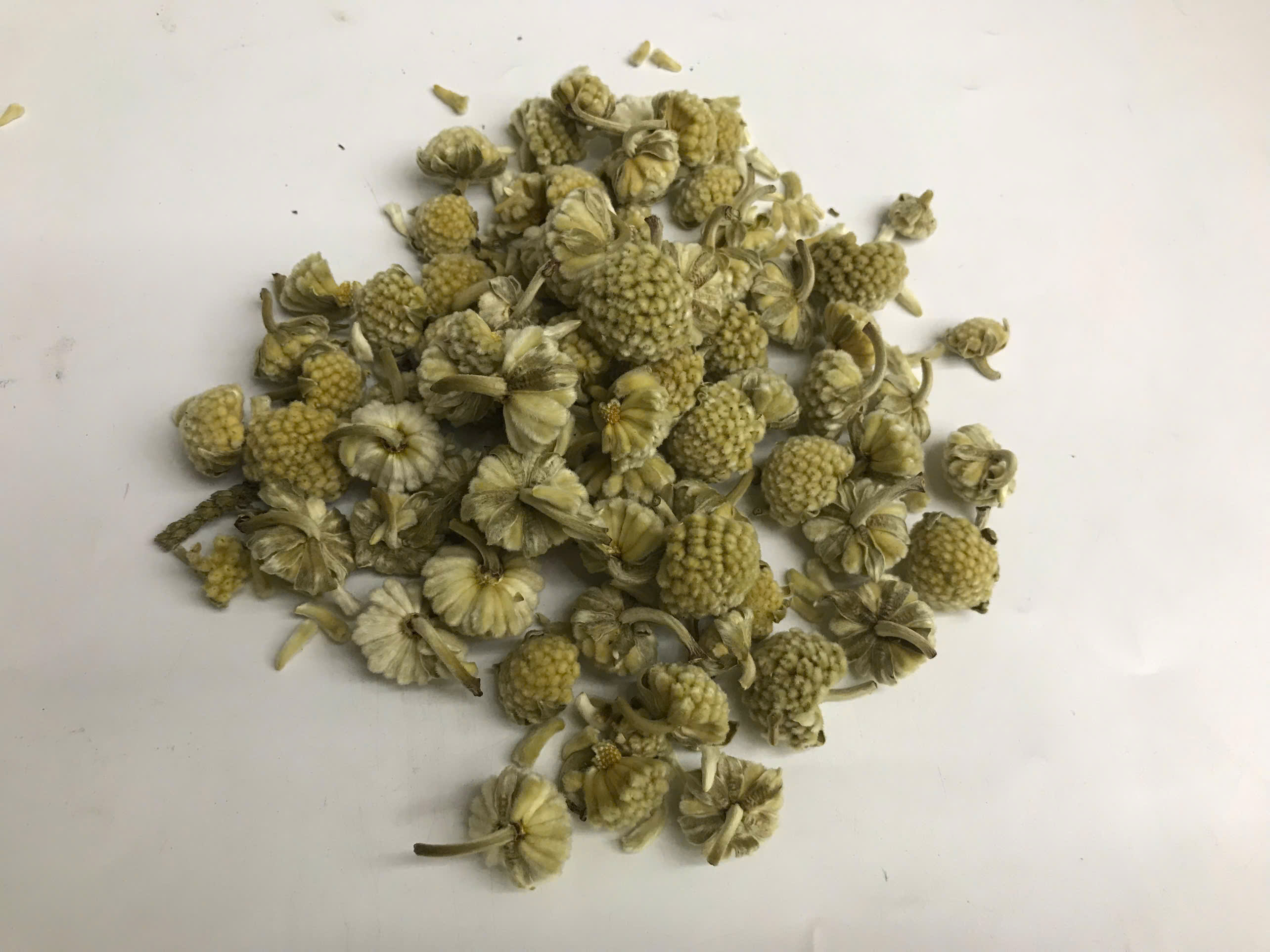 Mật Mông Hoa Khô 500g - Hàng Công Ty Loại 1