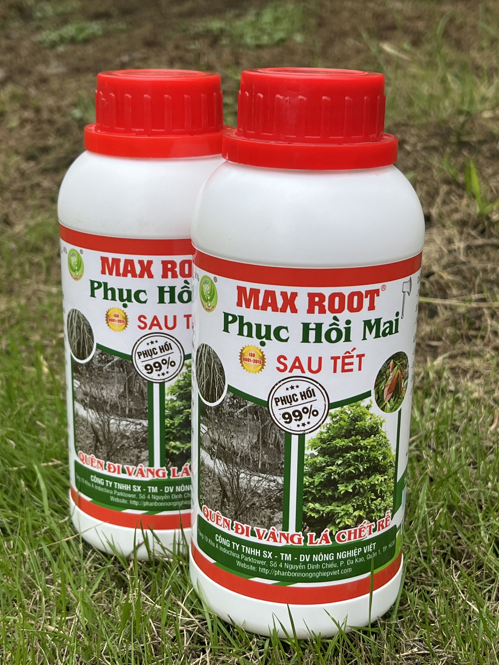 MAX ROOT _ PHỤC HỒI MAI SAU TẾT CHAI 500ML