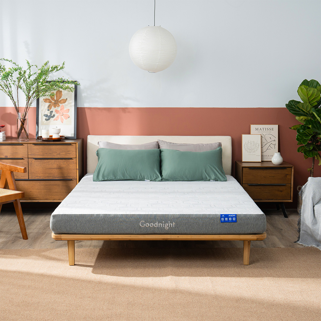 [HÀNG ĐẶT TRƯỚC] Nệm foam giảm áp lực Goodnight Hachi