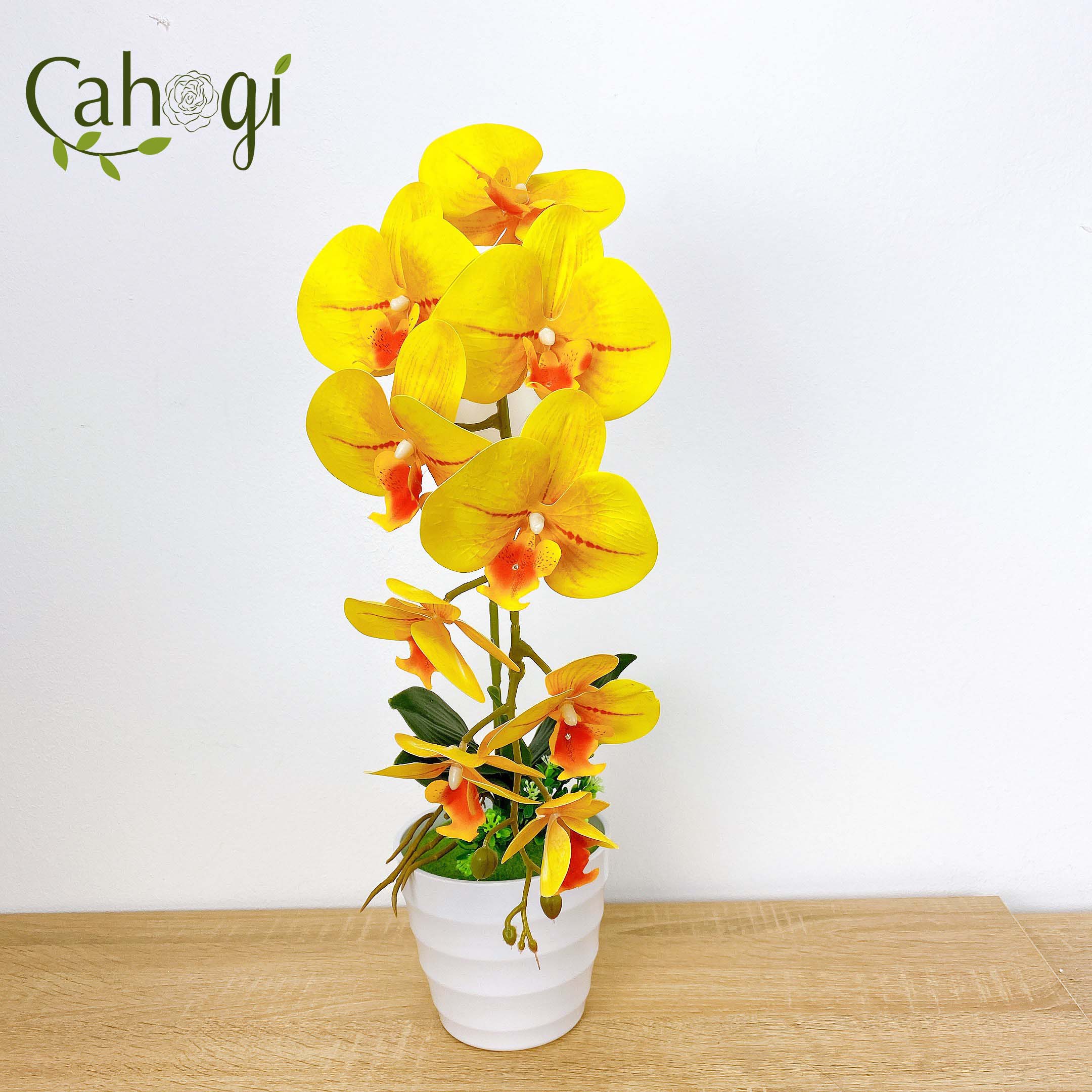 Cành Lan Cao Su Giả 9 Bông Cỡ Lớn