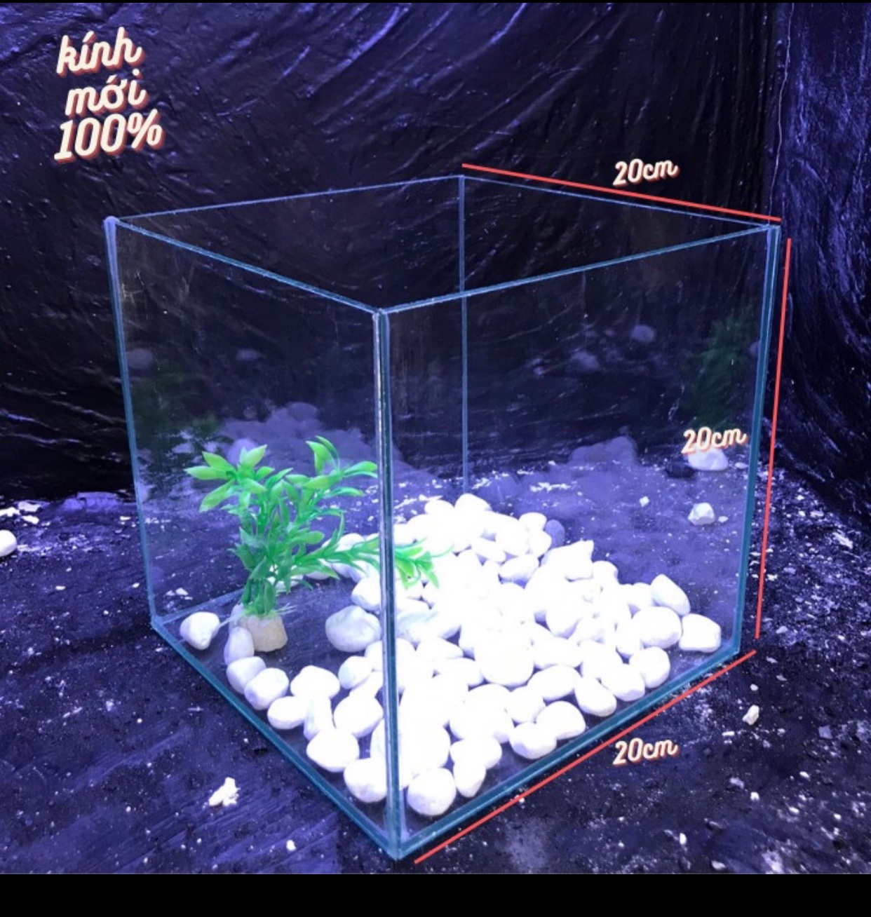 bể cá rubic 20x20x20