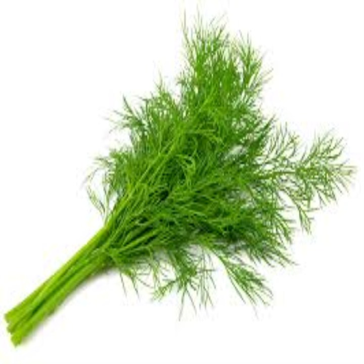 5 gram hạt giống rau thì là