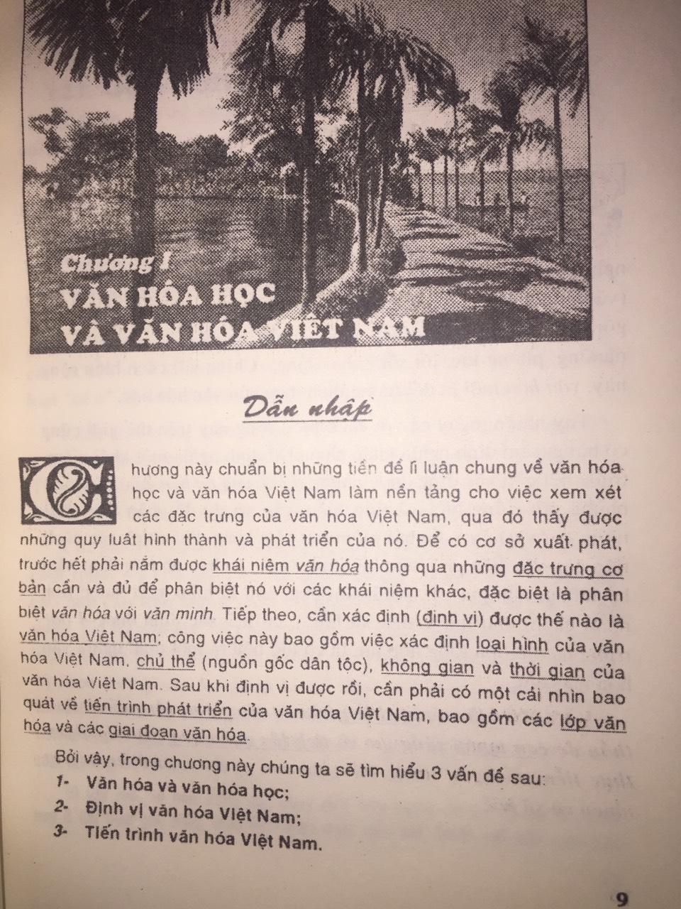 Sách Cơ Sở Văn Hóa Việt Nam – Trần Ngọc Thêm