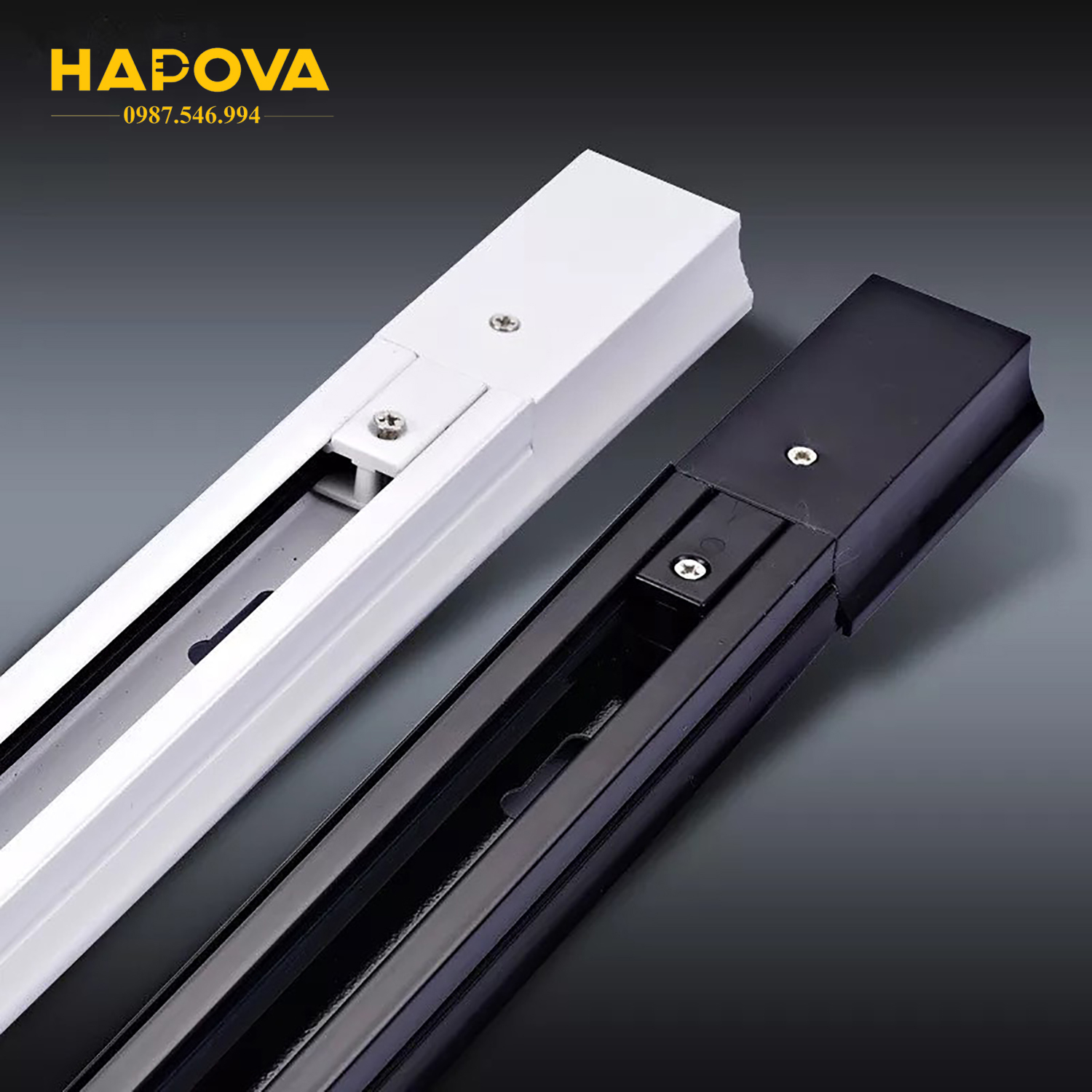 Thanh ray đèn rọi HAPOVA LYXIS DR 09