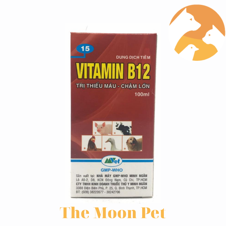 Vitamin B12 [100 ml] cho vật nuôi thiếu máu, chậm lớn.