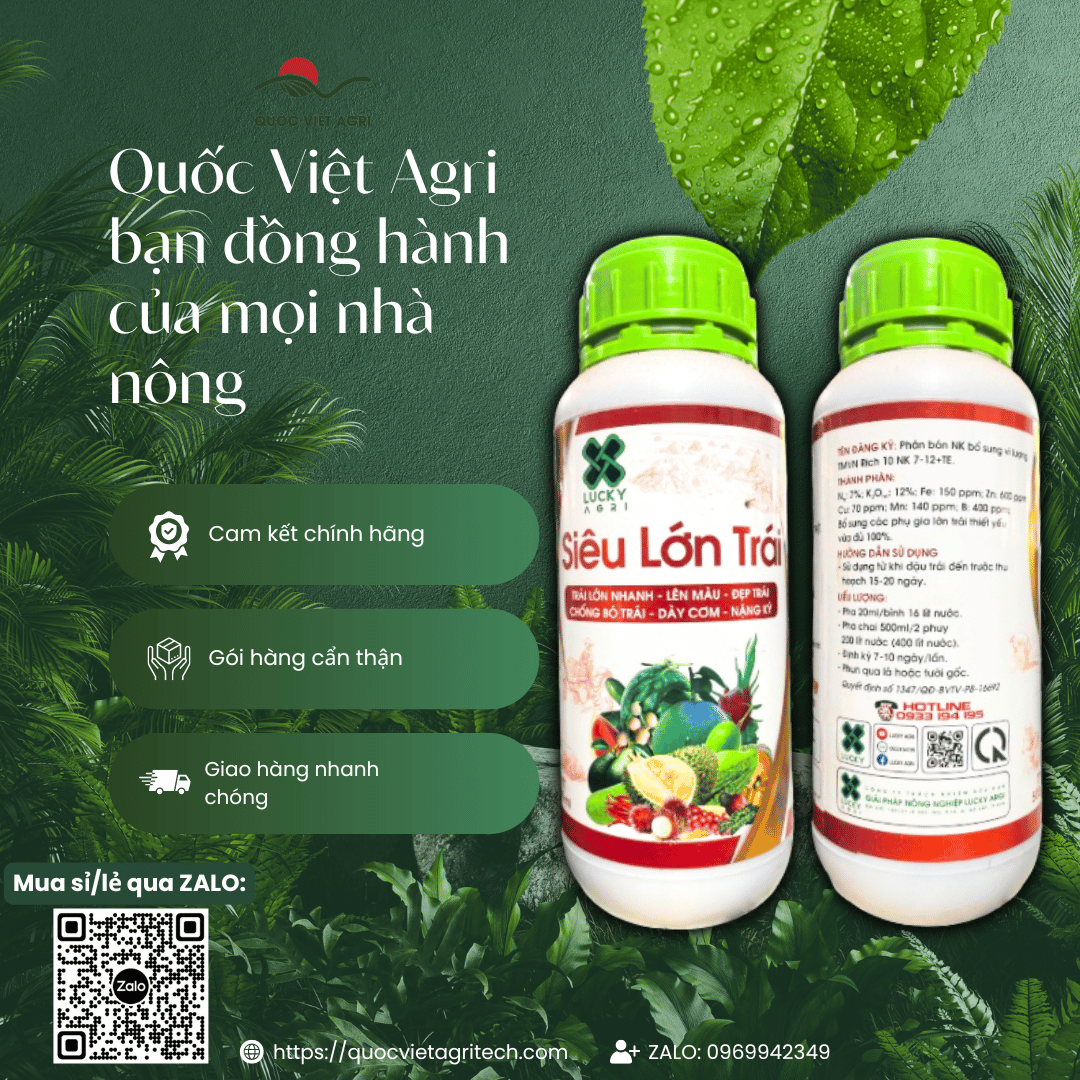 Phân bón lá SIÊU LỚN TRÁI (chai 500ml) - Giúp trái lớn nhanh, lên màu đẹp trái, chống bó trái, dày cơm, quả to chắc, nặng ký