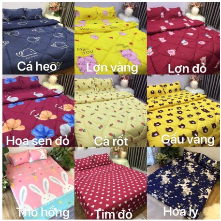[HCM]Ga bọc đệm cotton poly 1m2 mèo xanh