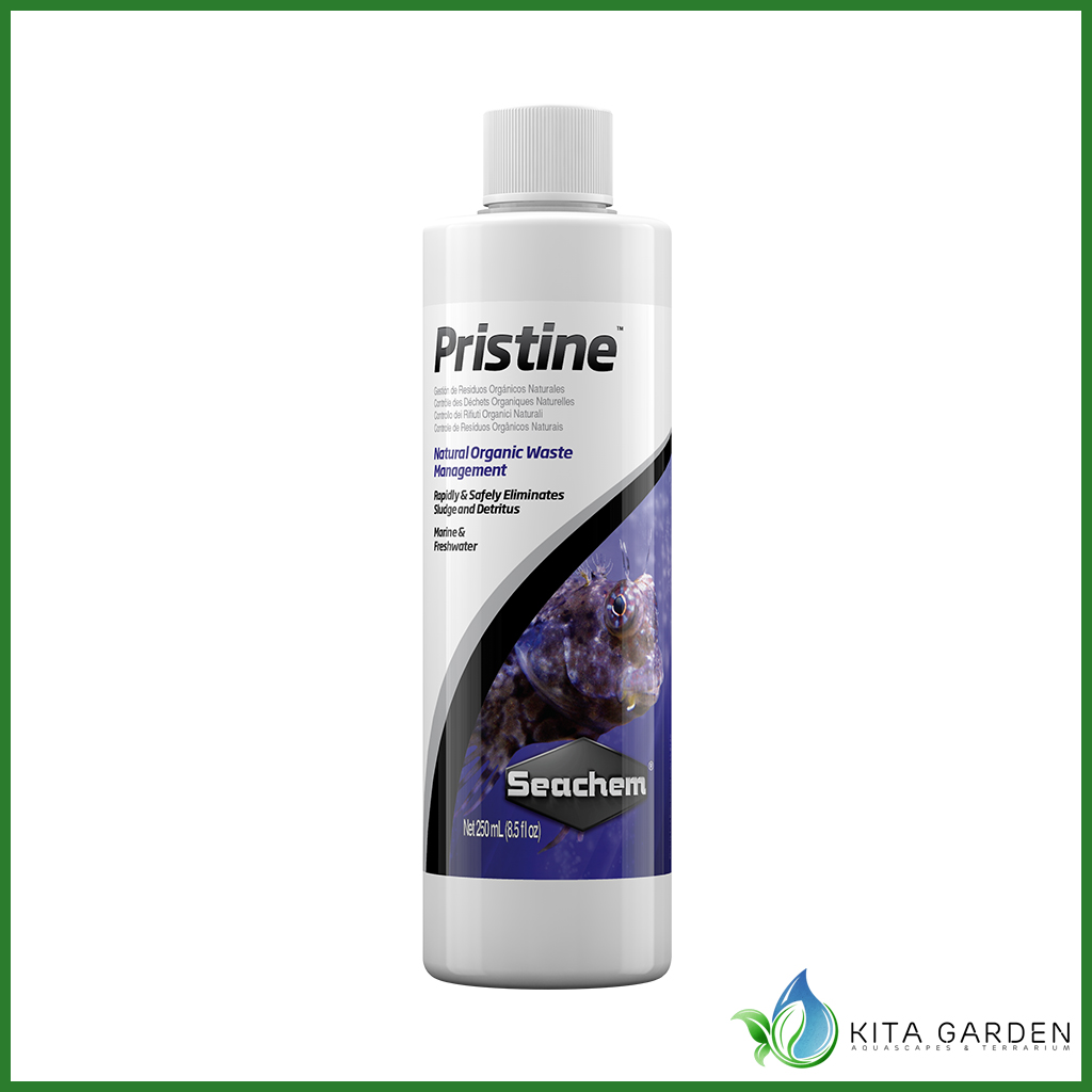 Vi Sinh Cao Cấp Xử Lý Nước Seachem Pristine - Chai 100 ml