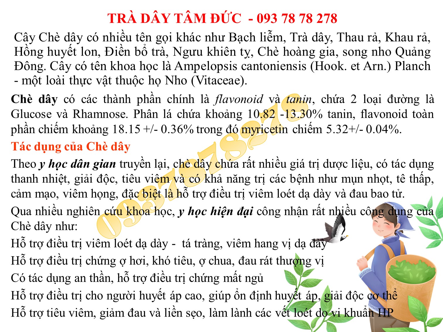 [HCM]Chè dây Tâm Đức 300gr