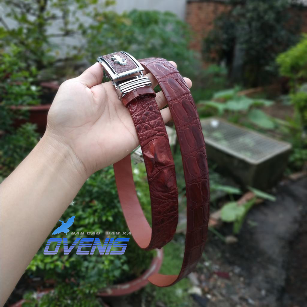 [FREE SHIP] Thắt lưng da cá sấu liền nguyên con. [BẢN RỘNG 3.5cm CÓ GAI RẤT ĐẸP]