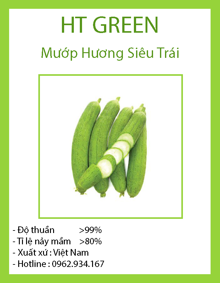 Hạt Giống Mướp Hương Siêu Trái