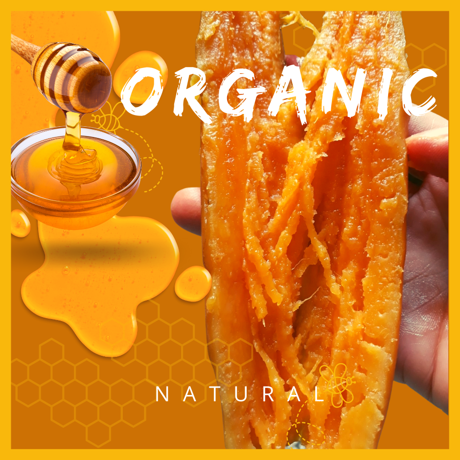 Khoai Lang Mật Tà Nung Chính Gốc - Loại Lớn Đế Nướng (2 Đến 6 Củ 1 Ký)