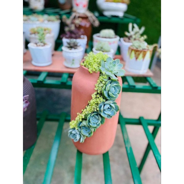 Chậu đất nung Bình Dương xẻ thân miệng 9.5 x cao 36cm