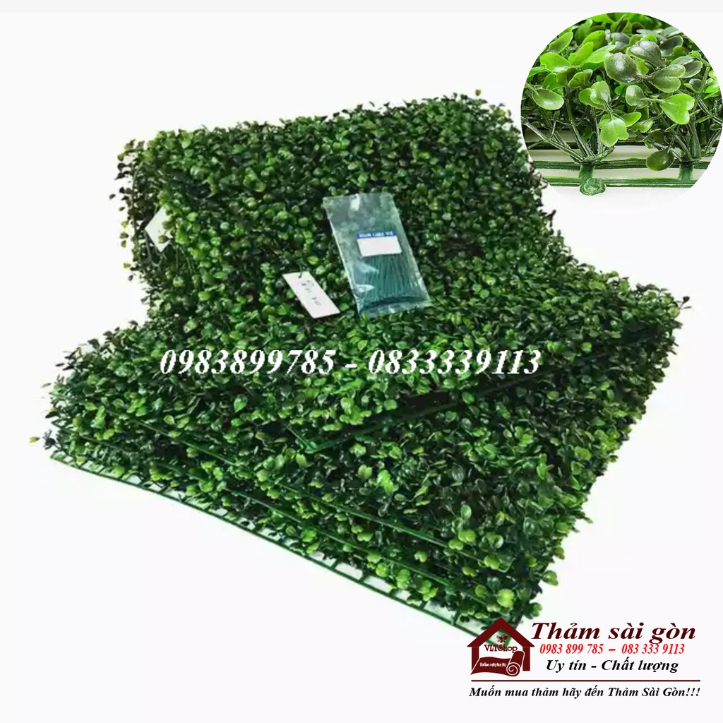 CỎ CẢI XOONG TREO TƯỜNG