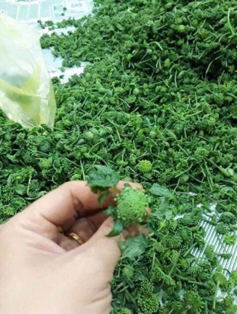 NỤ HOA TAM THẤT KHÔ (NỤ HOA BAO TỬ) 500G