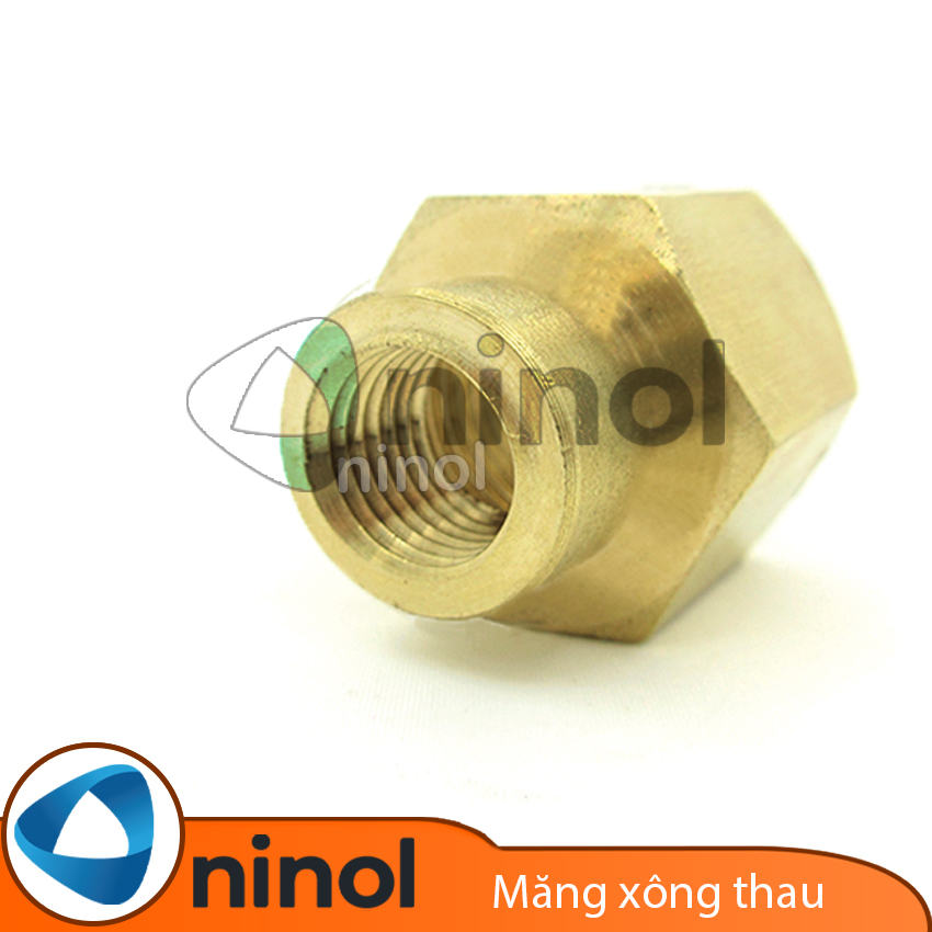Nối thau 2 đầu ren trong