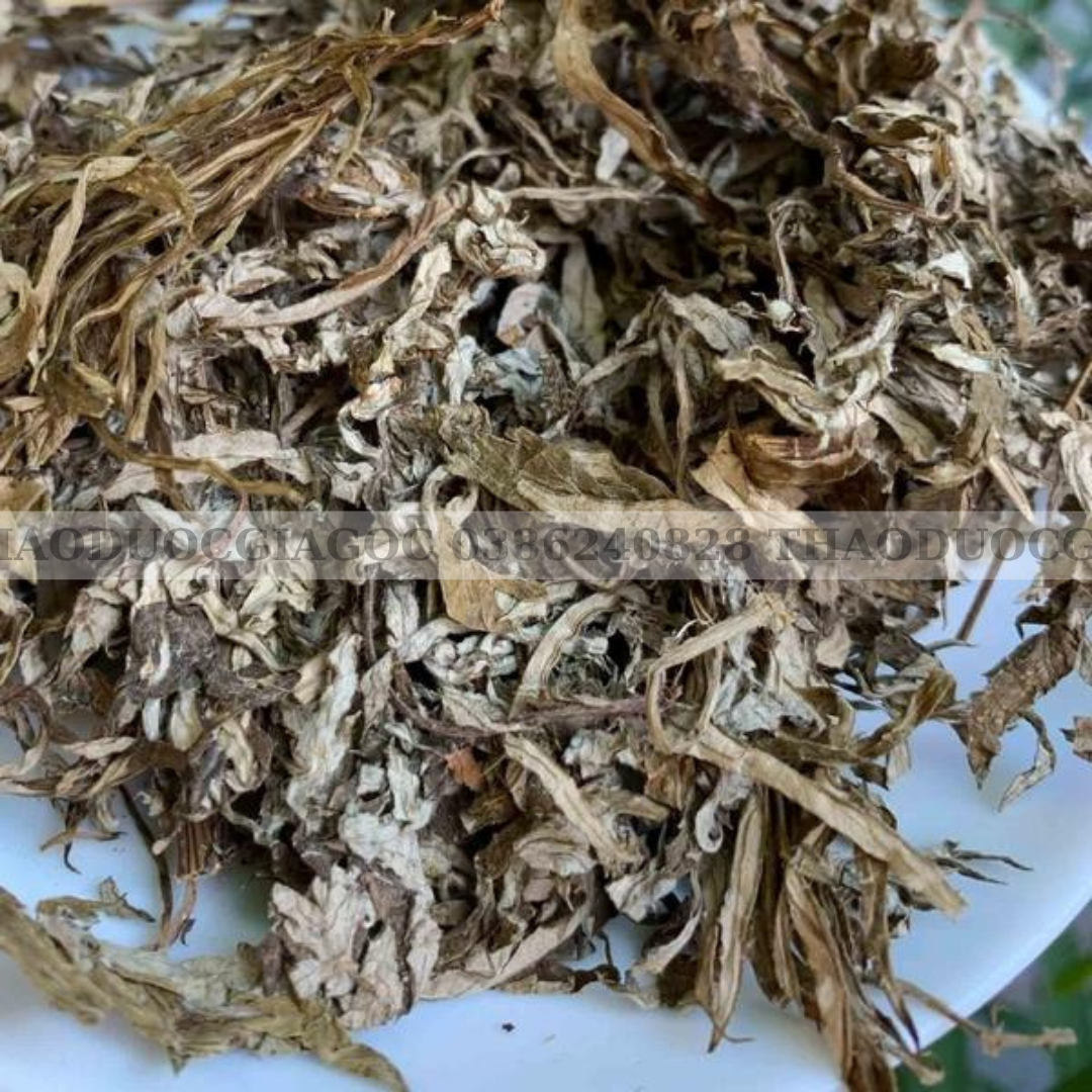 Lá Ngải Cứu Khô 1Kg (sạch, đẹp )