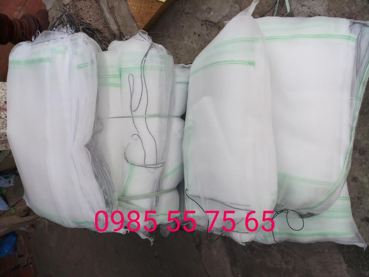 50 túi lưới bao mít có dây rút