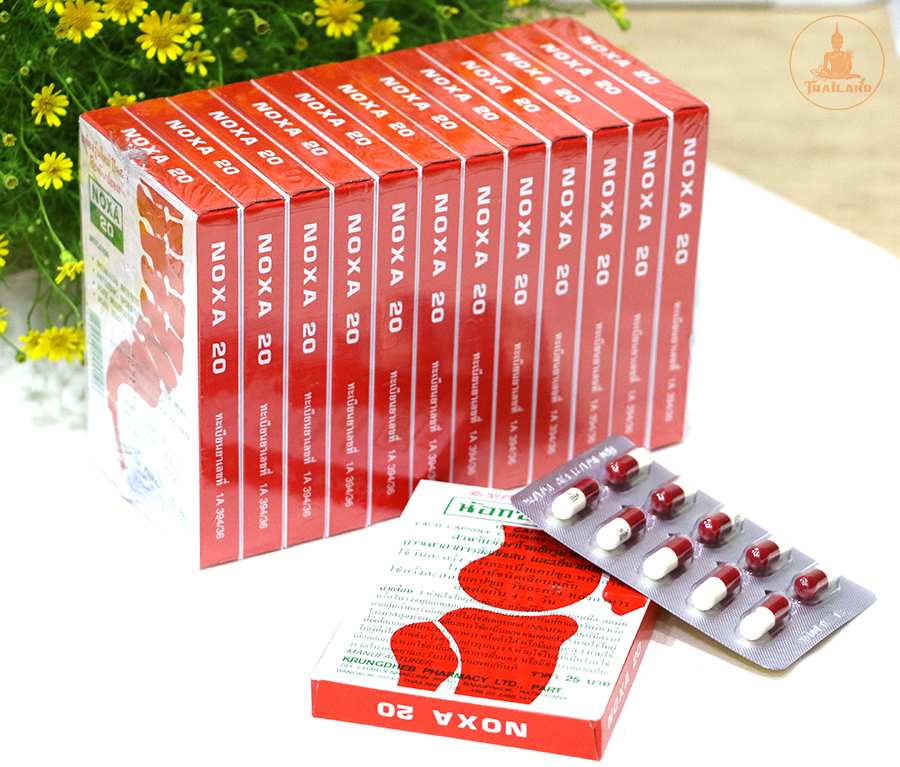 Xương khớp Thái Lan Noxa 1 lố 12 hộp