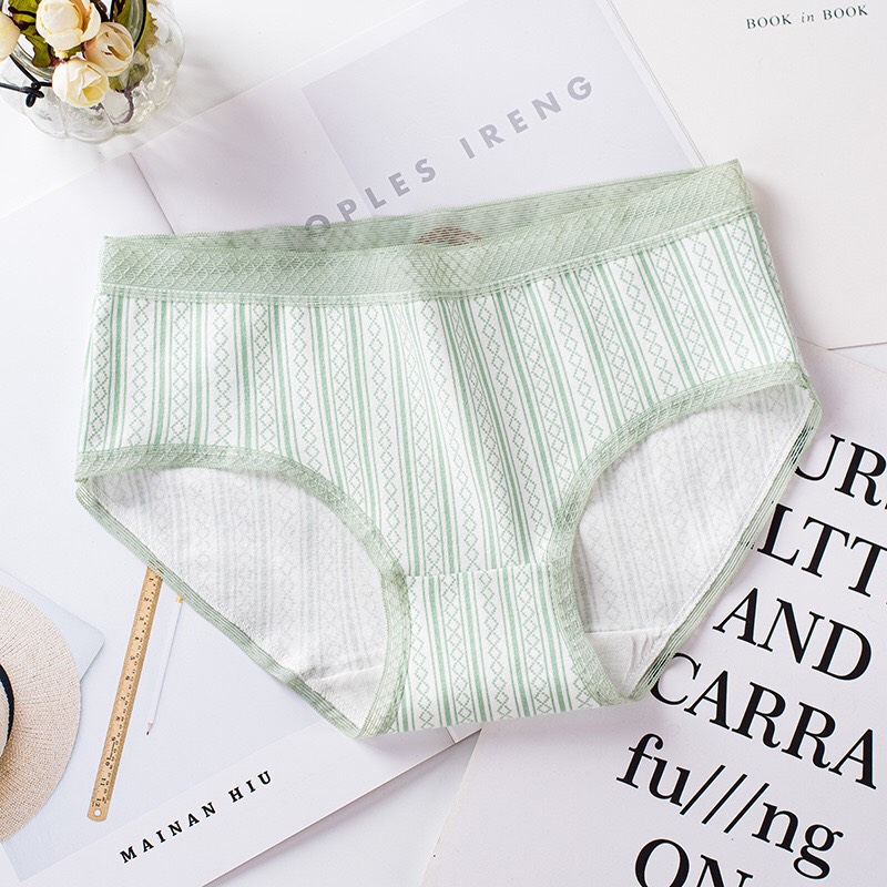 (FREESHIP) Combo 10 Quần Lót Cotton Kháng Khuẩn Cạp Ren
