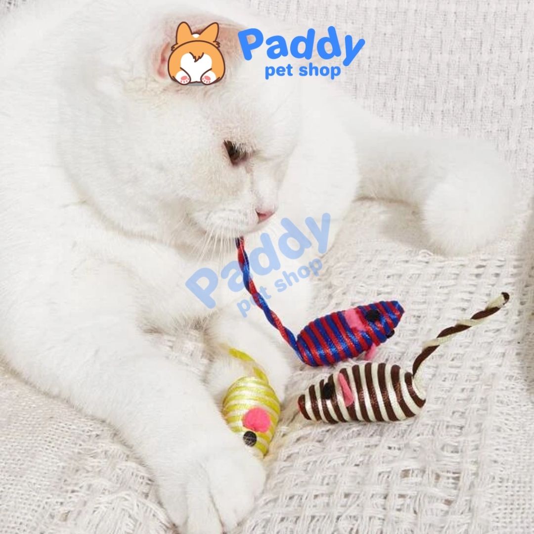 Đồ Chơi Cho Mèo Hộp 6 Chuột Mini CattyMan