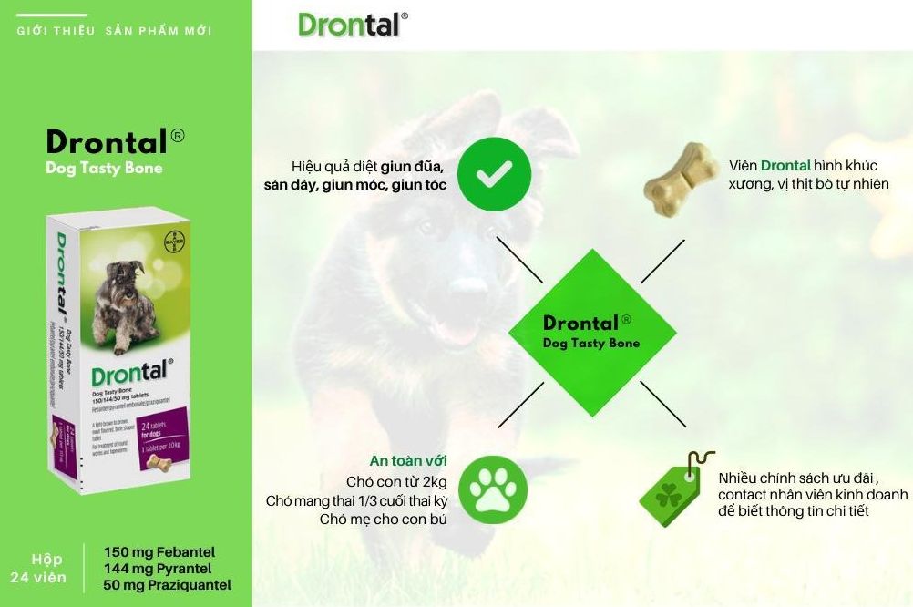 [VỈ 6 VIÊN] Xổ Giun Sán Drontal Cho Chó (Pháp - Hàng Công Ty Chính Hãng) - [Nông Trại Thú Cưng]