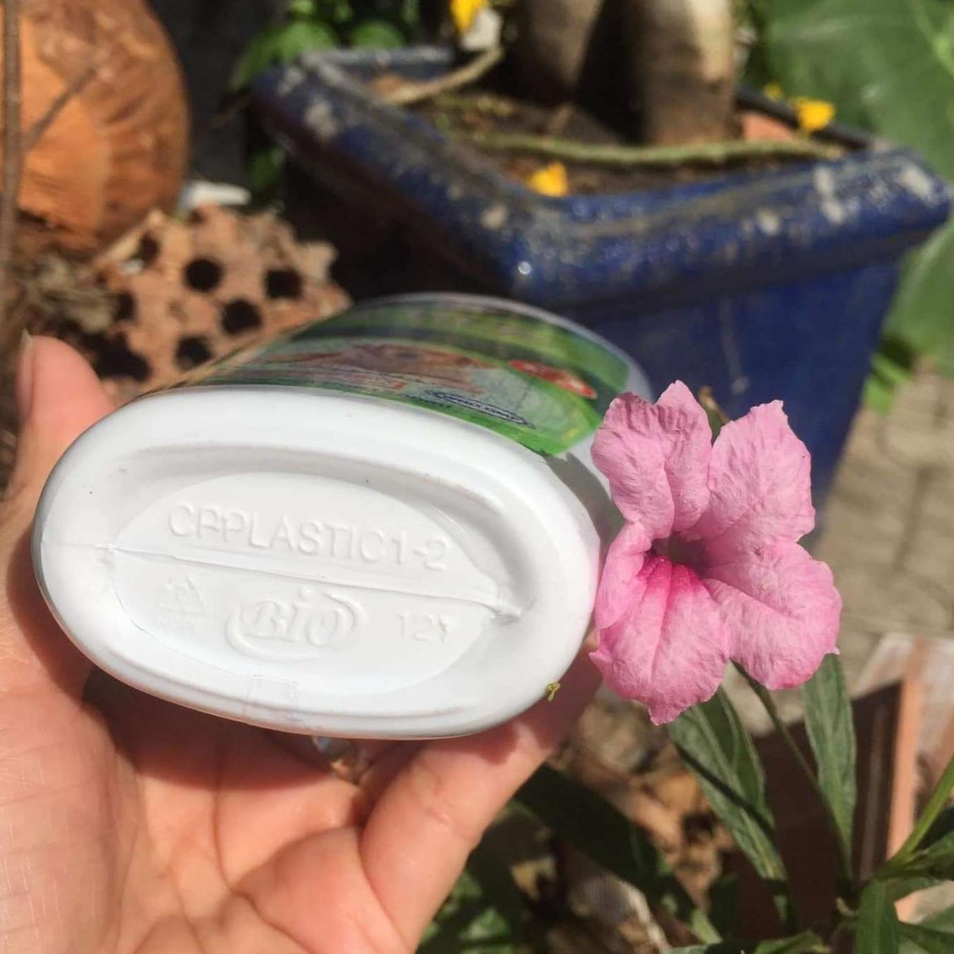Sữa tắm Bio 200 ml đặc trị ve rận bọ chét
