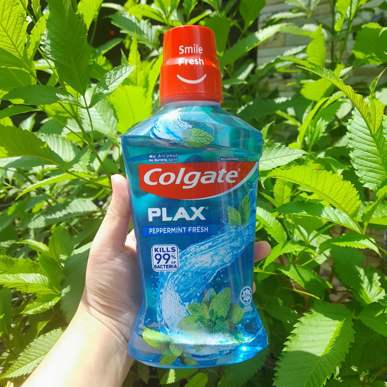 (500ml/750ml ) Nước súc miệng Colgate Plax / Maxfresh bạc hà/ trà xanh/ Than hoạt tính