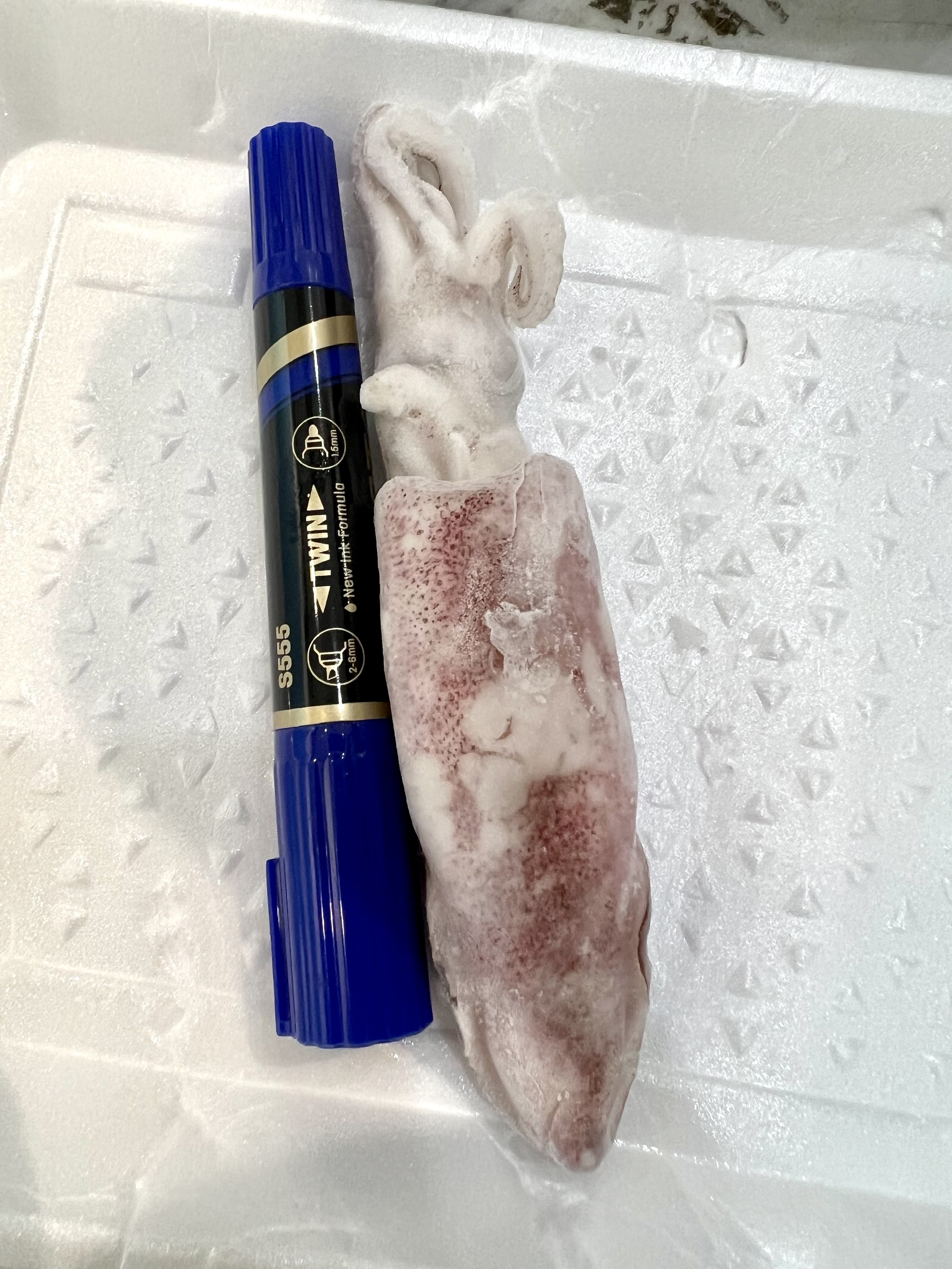 Mực ống nguyên con - Túi 425g
