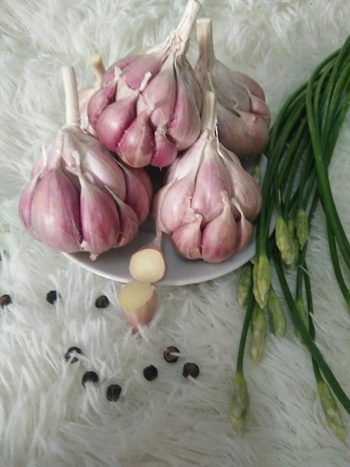 Tỏi bắc 0.5kg loại ngon