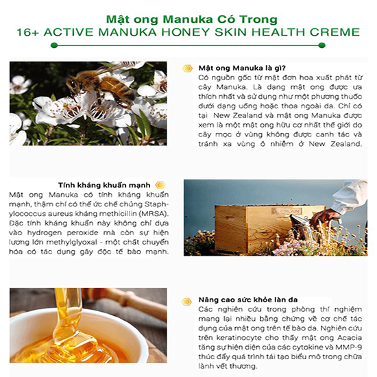 Mật ong Manuka MGO 850 + Manuka 250g
