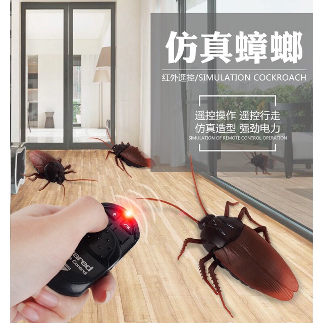 [HCM]Gián Điều Khiển Từ Xa