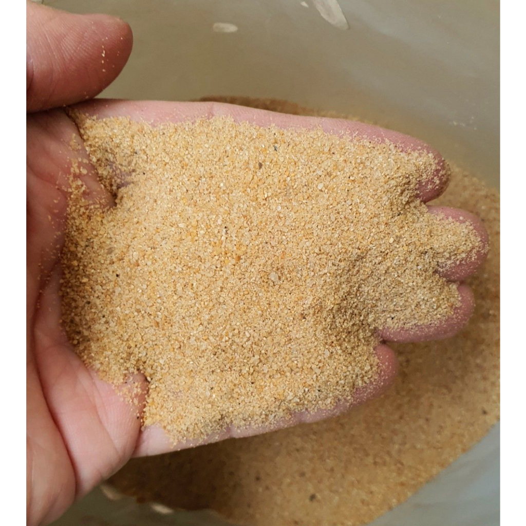 Cát nắng vàng (1kg) - trang trí bể cá, tiểu cảnh, bán cạn