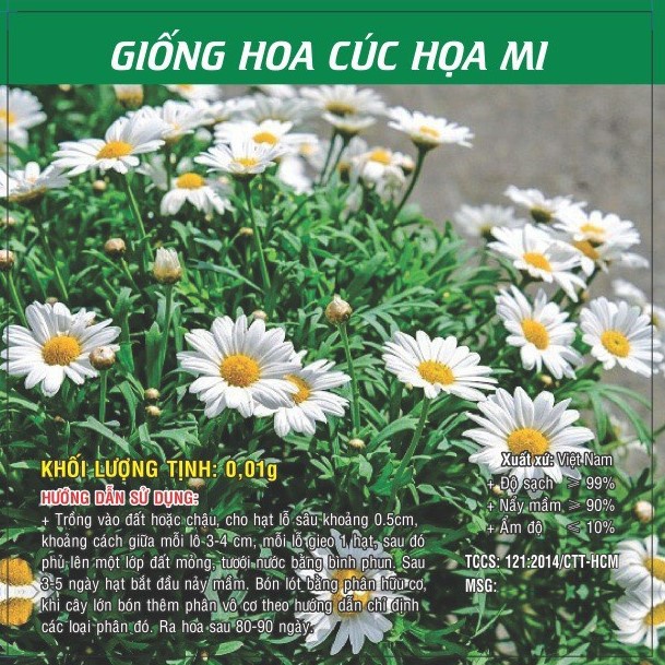 Hạt giống hoa Cúc Họa Mi TN