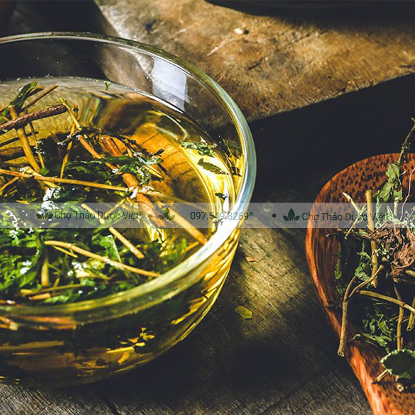 Cỏ ngọt 100g, trà cỏ ngọt sấy khô, vị ngọt tự nhiên, điều vị, đường ăn kiêng tốt cho tiểu đường