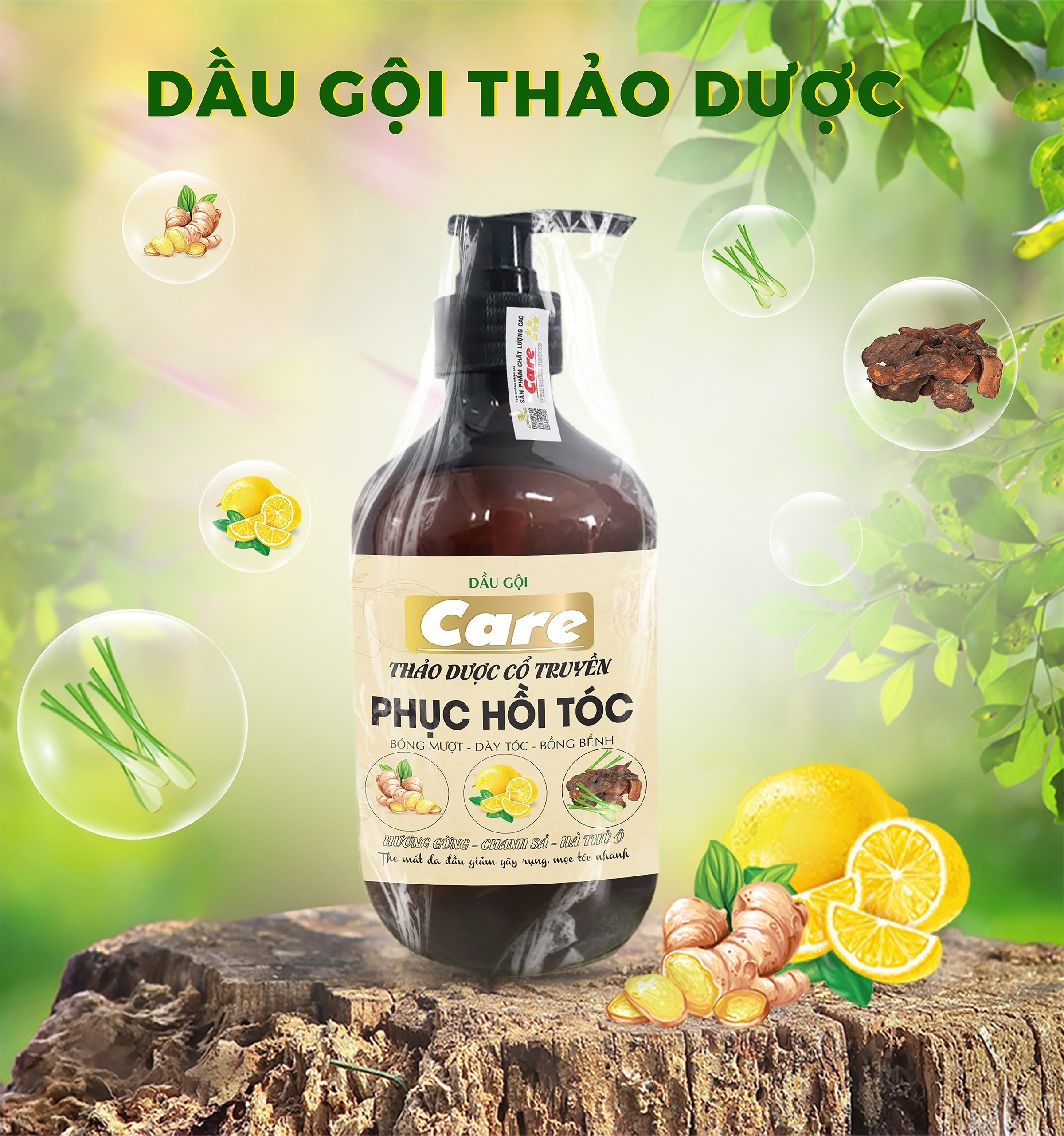 Cặp Gội Xã Thảo Dược Cổ Truyền 500 ML