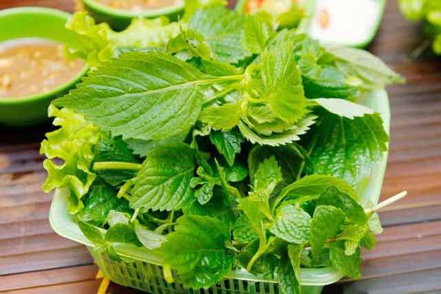 Hạt giống Rau Kinh Giới (Gói 1 Gram) - Nông Sản Vàng