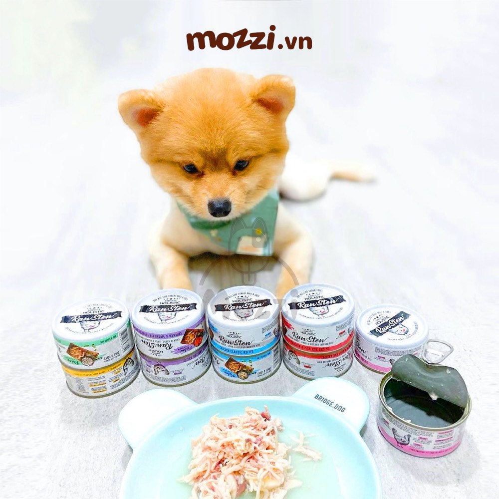 Pate cho chó mèo RawStew Absolute Holistic Lon 80gr