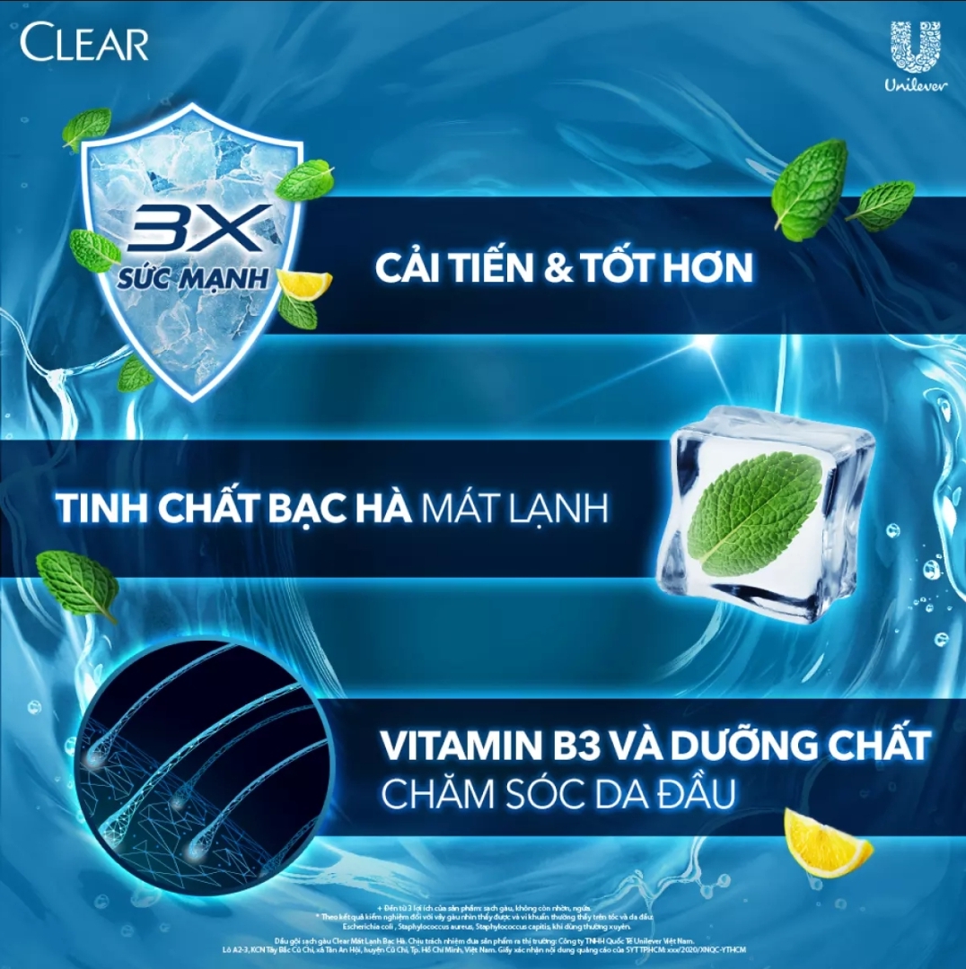 Combo 2 chai Clear Bạc Hà 880G