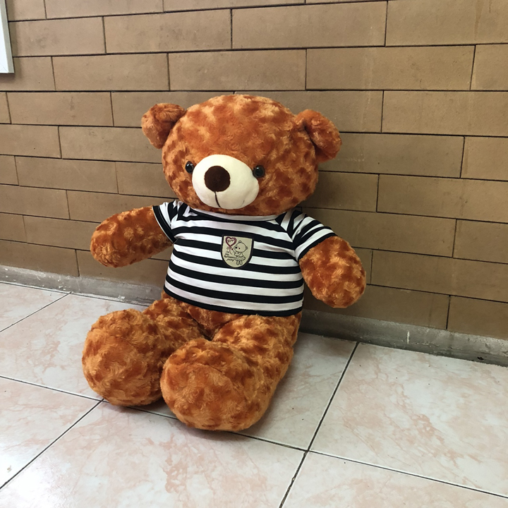 Gấu bông teddy 60cm dễ thương, làm quà tặng sinh nhật, bạn gái, người yêu, bạn bè - Gấu bông giá rẻ - Hung Phat